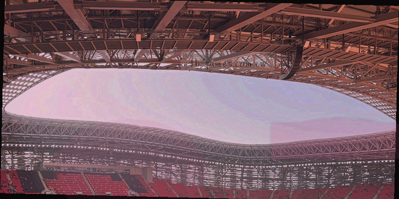 比赛数据统计图
